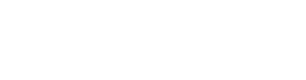 Steingas Media white logo
